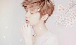 爆料鹿晗割韭菜视频播放,揭秘明星效应下的粉丝经济真相