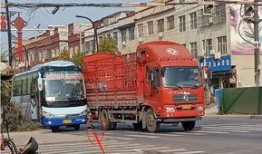 杞县黄村车祸最新爆料,悲剧现场细节披露，伤亡情况引关注